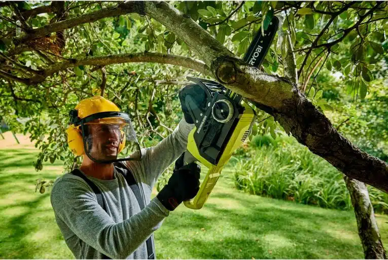 Quelles sont les différentes techniques d’abattage d’arbres ?